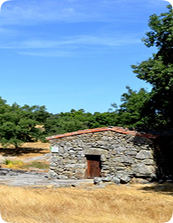 Chozo tradicional de piedra entre encinas