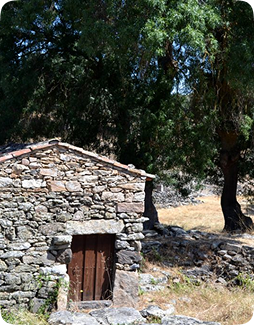Chozo tradicional de piedra rodeado de árboles